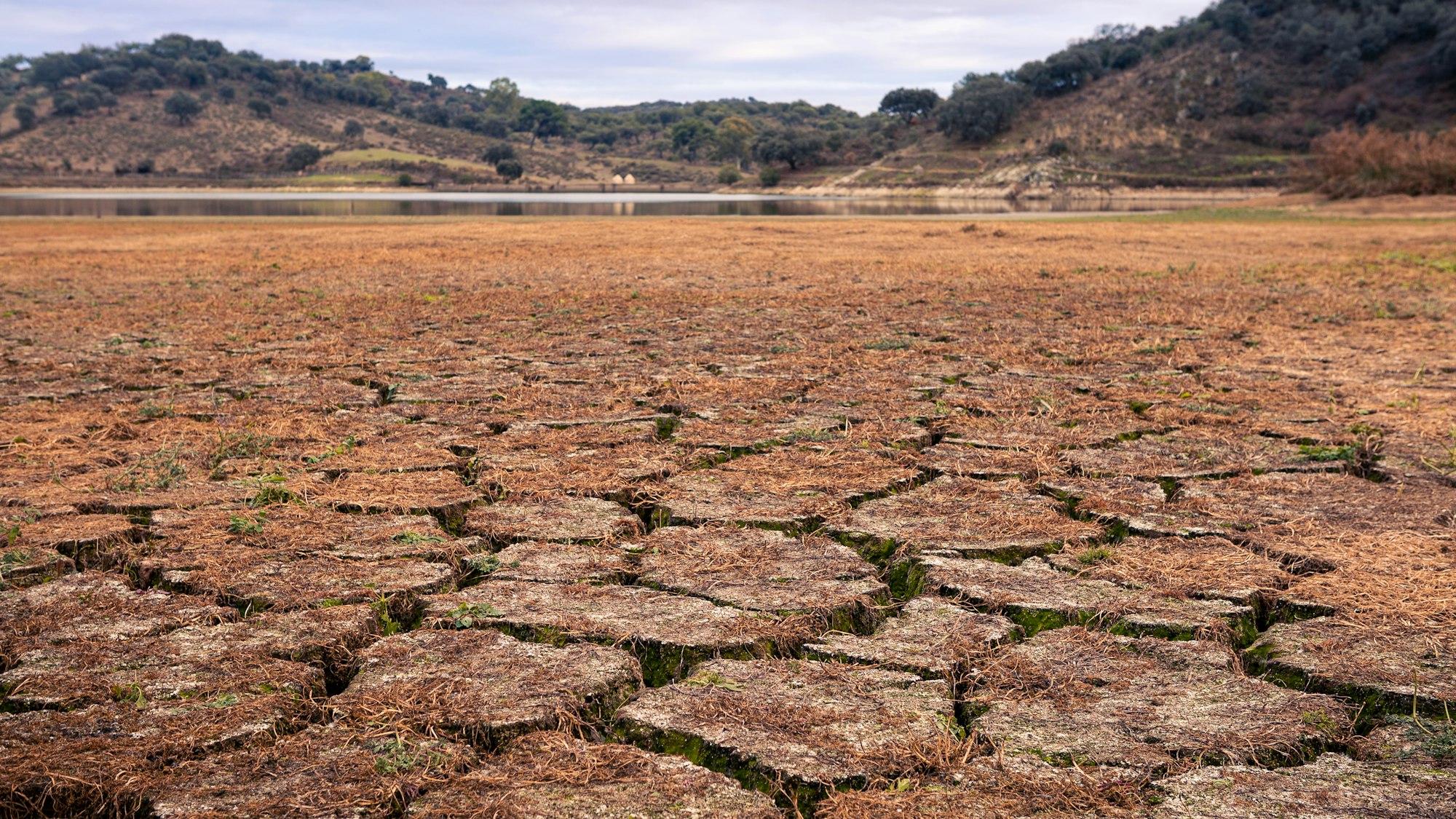 Climate change land with dry and cracked ground in Spain. Soil drought landscape