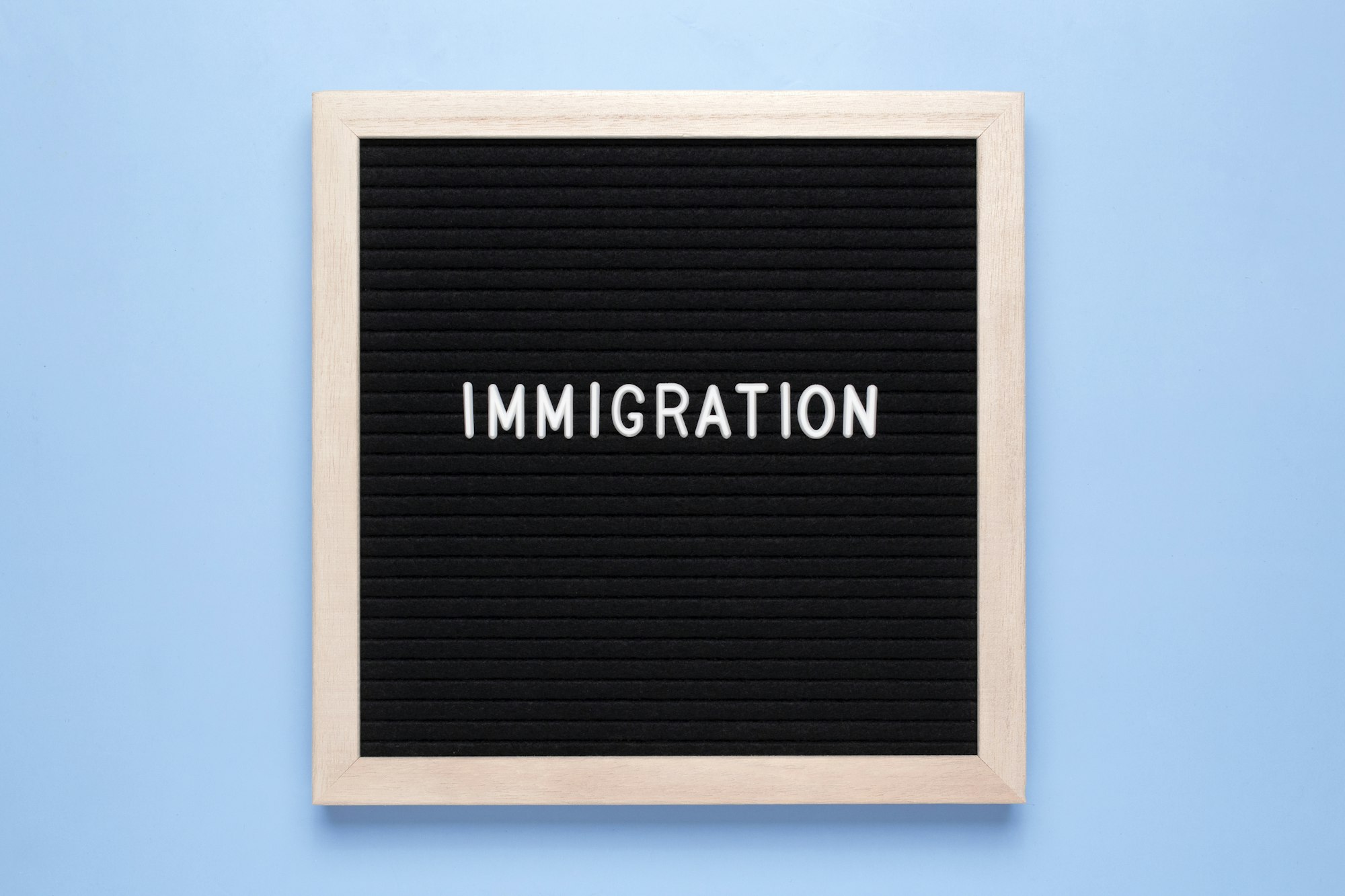 Immigration Text on letter board on light blue background